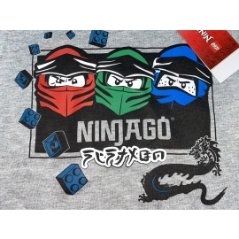 Lego Ninjago Kinder T-Shirt grau Dragon Jungen + Mädchen Gr. 104 116 128 140 Lego Wear original. Auf Wunsch mit Namen des Kindes aufgedruckt.